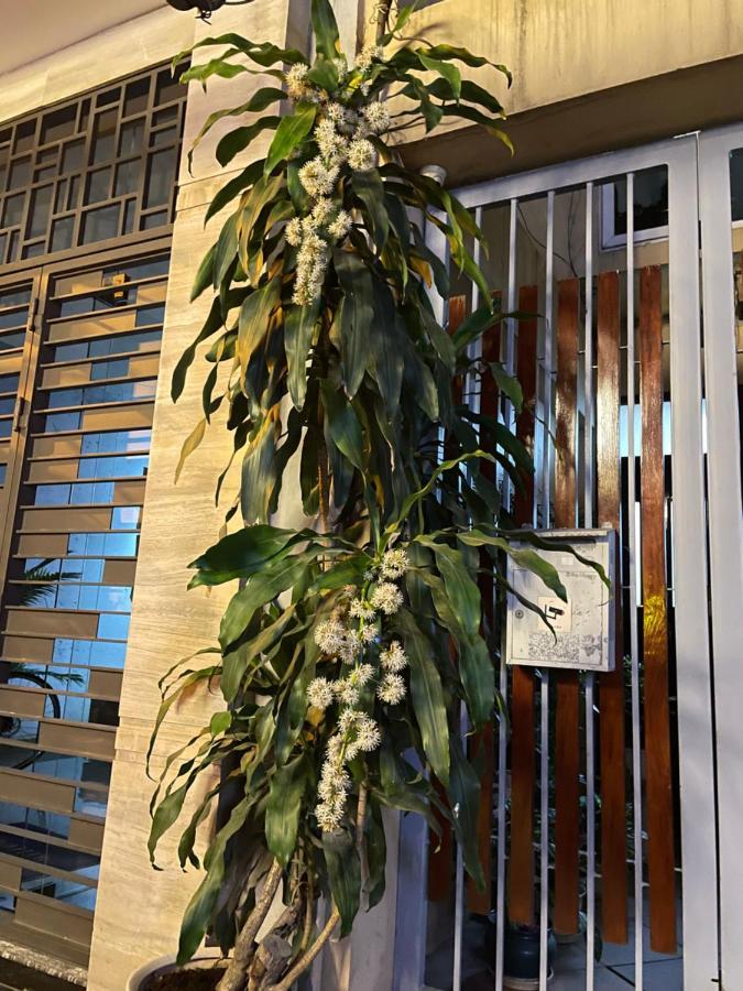 May Residence-800M From Opera House 하노이 외부 사진